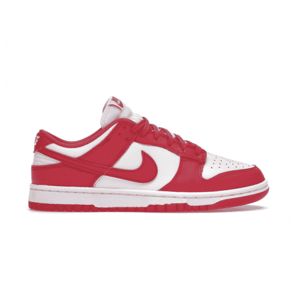 Dunk Low Archeo Pink high-performance athletic footwear Pink