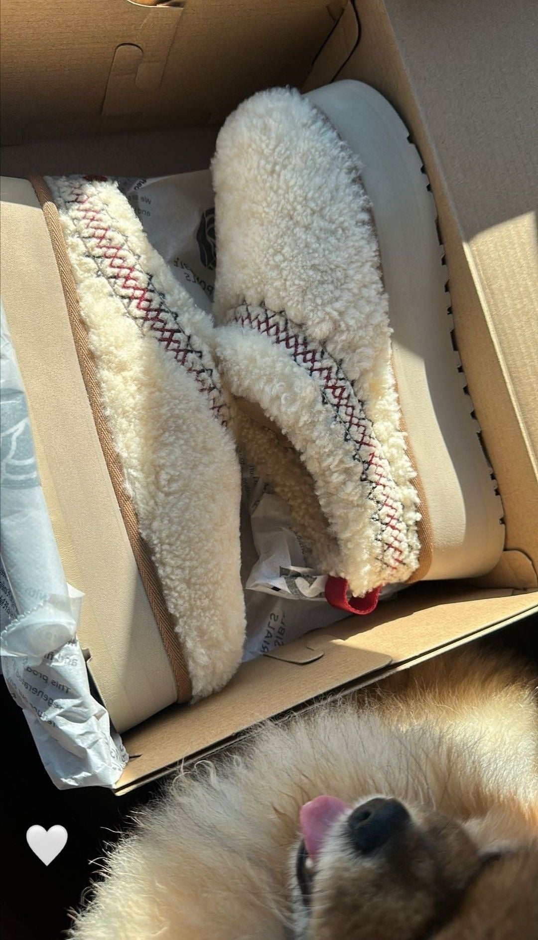 Ugg Tazz Platform Slippers sheep - high-performance athletic footwear with advanced cushioning